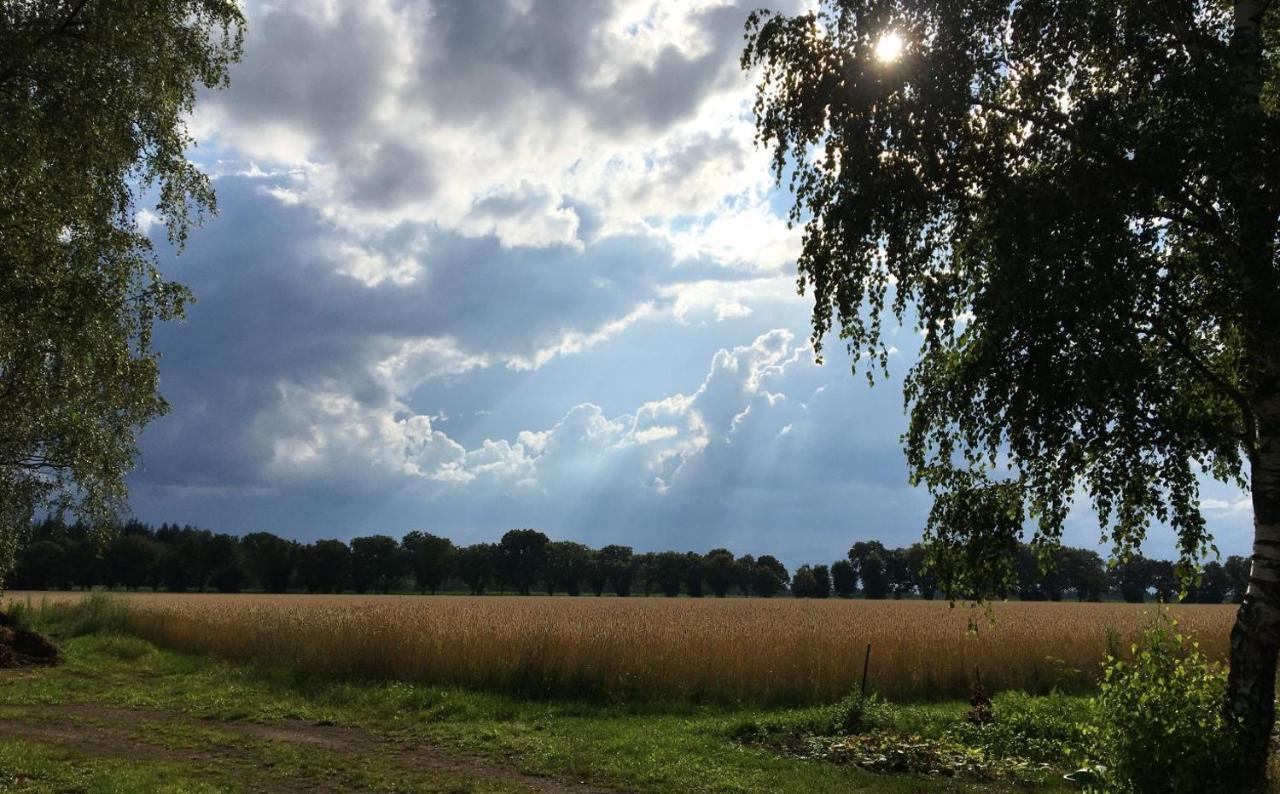 Ferienwohnung Ferienhof Timmerloher Heide Soltau Exterior foto