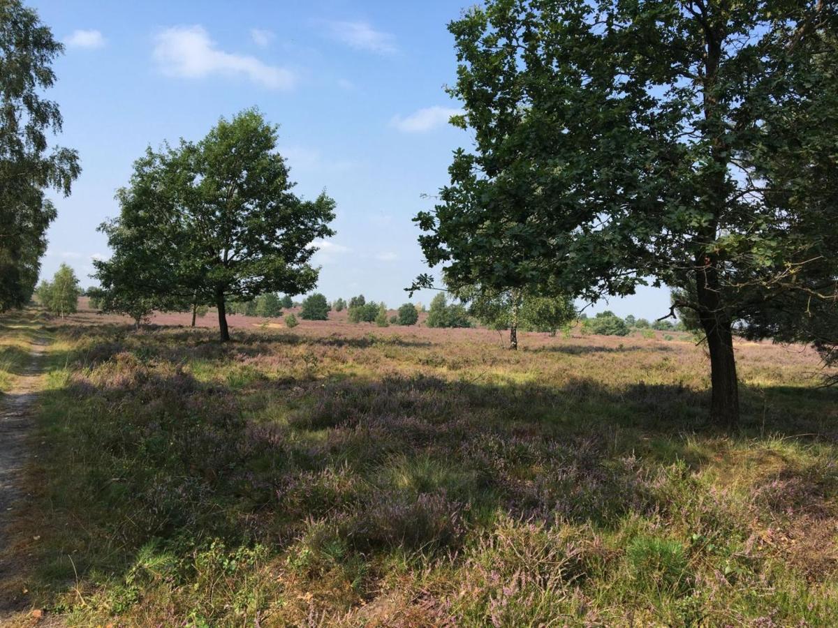 Ferienwohnung Ferienhof Timmerloher Heide Soltau Exterior foto