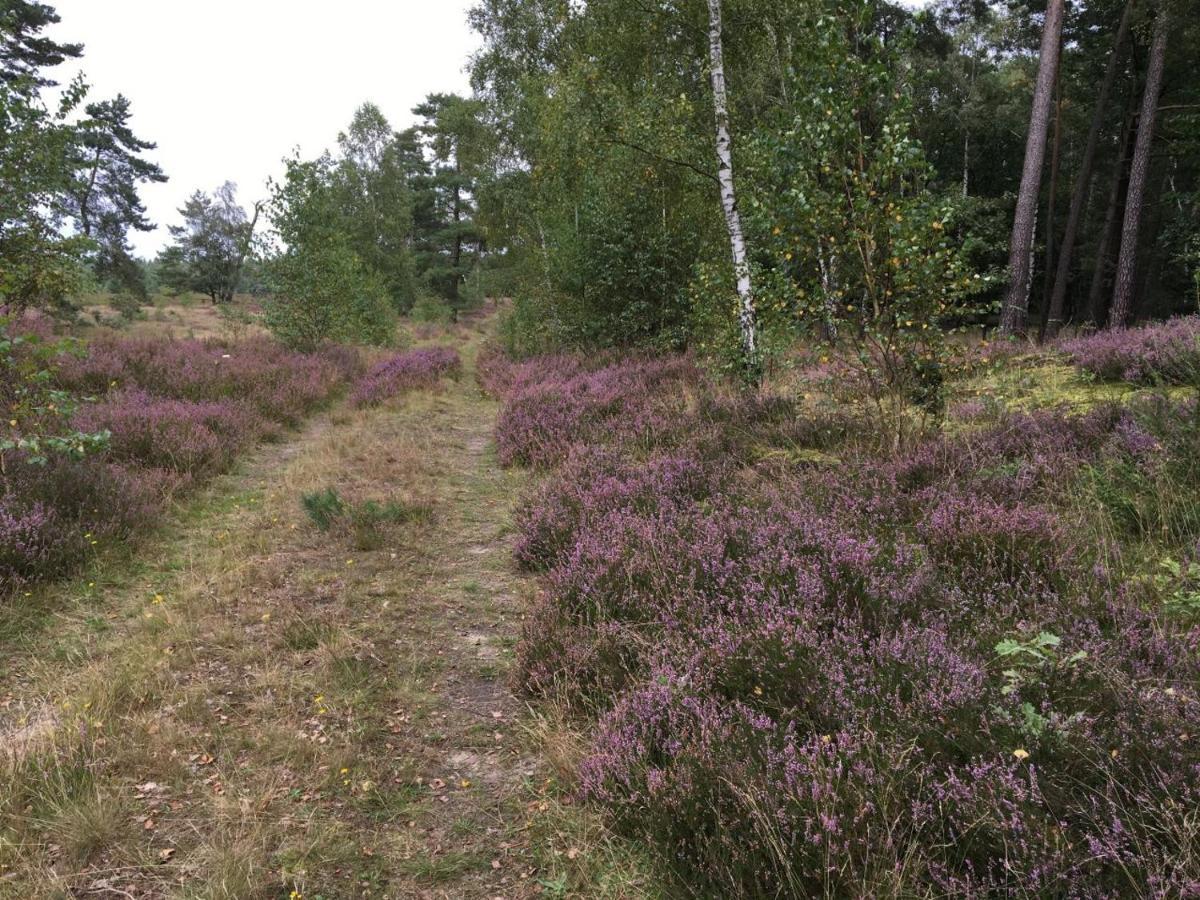 Ferienwohnung Ferienhof Timmerloher Heide Soltau Exterior foto