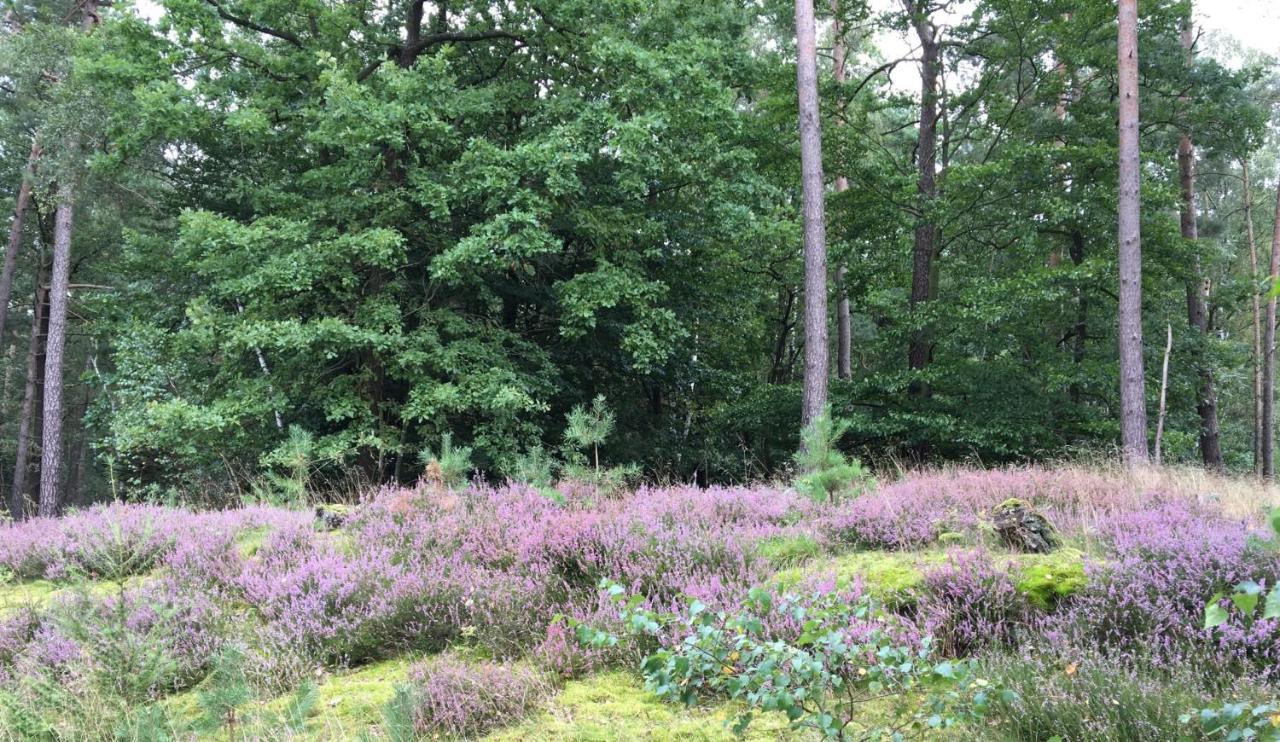 Ferienwohnung Ferienhof Timmerloher Heide Soltau Exterior foto